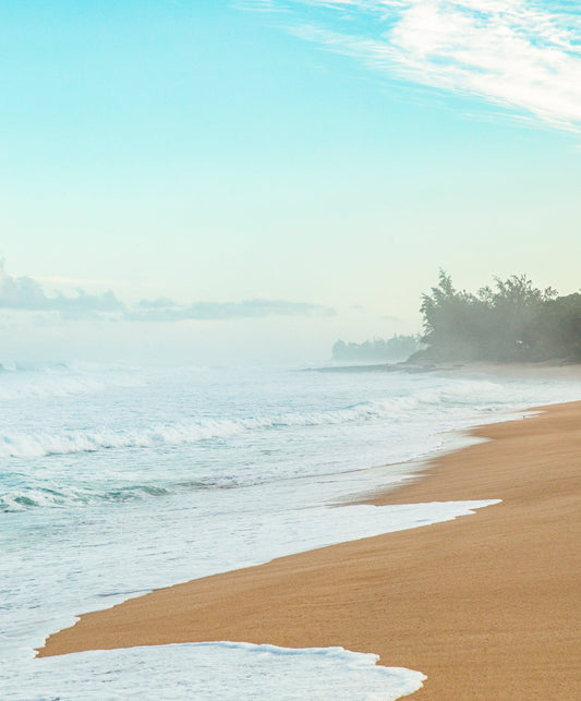 Apex Trunks By Kelly Slater - Outerworn
