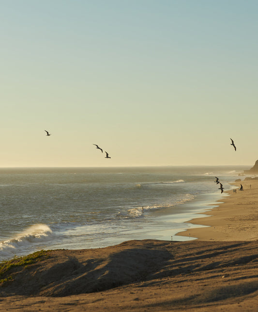 Baker Trench Coat - Outerworn