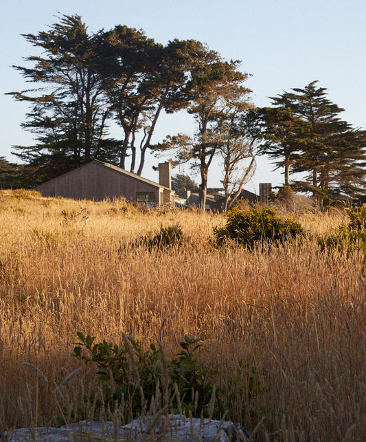 Barbarella Jean - FINAL SALE