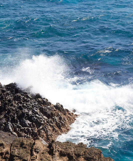Women's California Sweatshirt