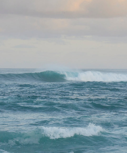 Atlantic S/S Chambray Shirt - FINAL SALE