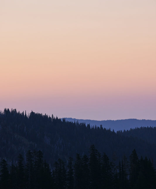 Women's Blanket Shirt